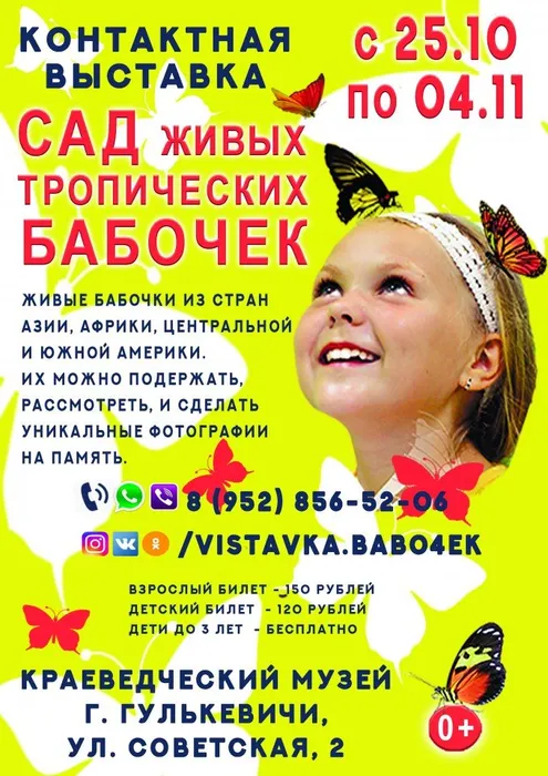 афиша А4
